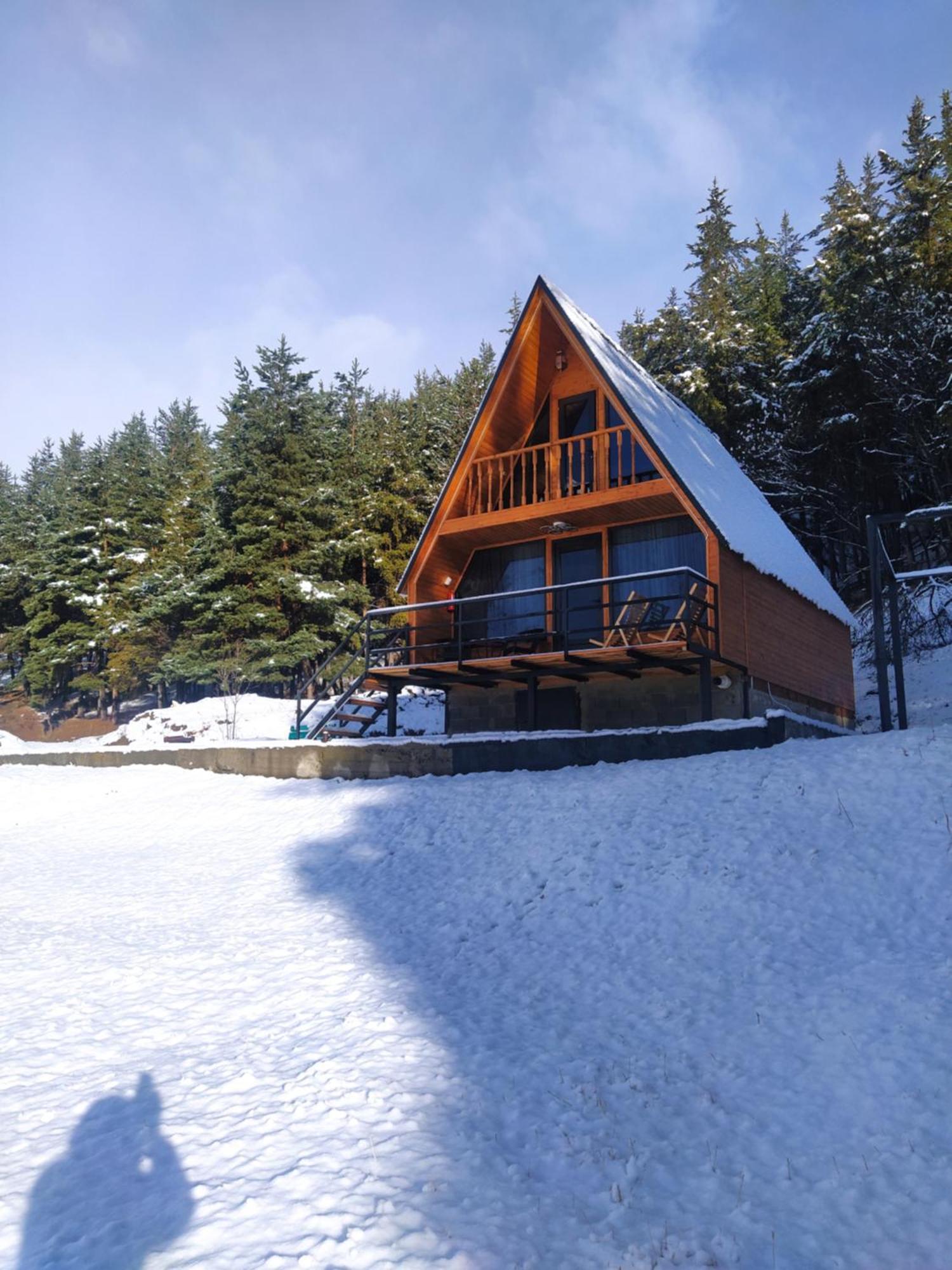 فيلا Sno Woodland المظهر الخارجي الصورة