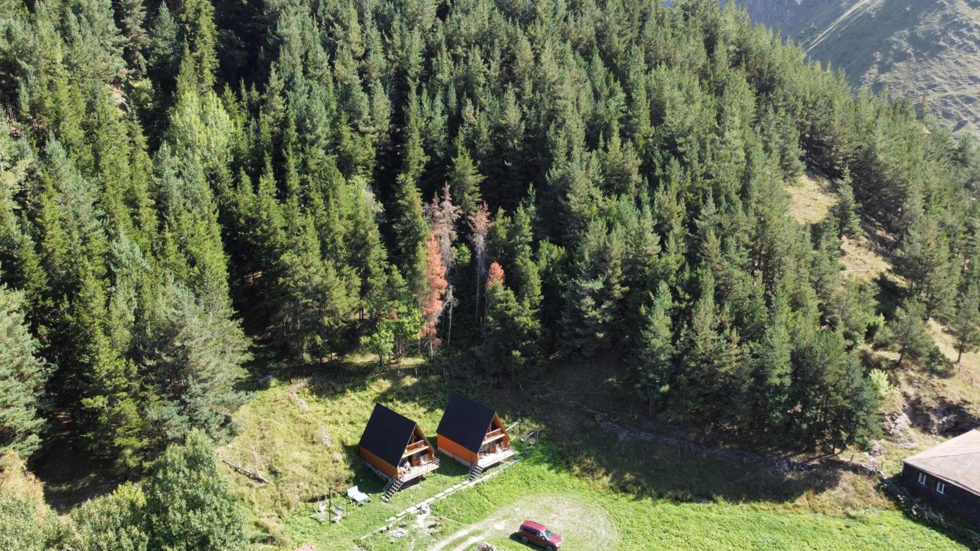فيلا Sno Woodland المظهر الخارجي الصورة