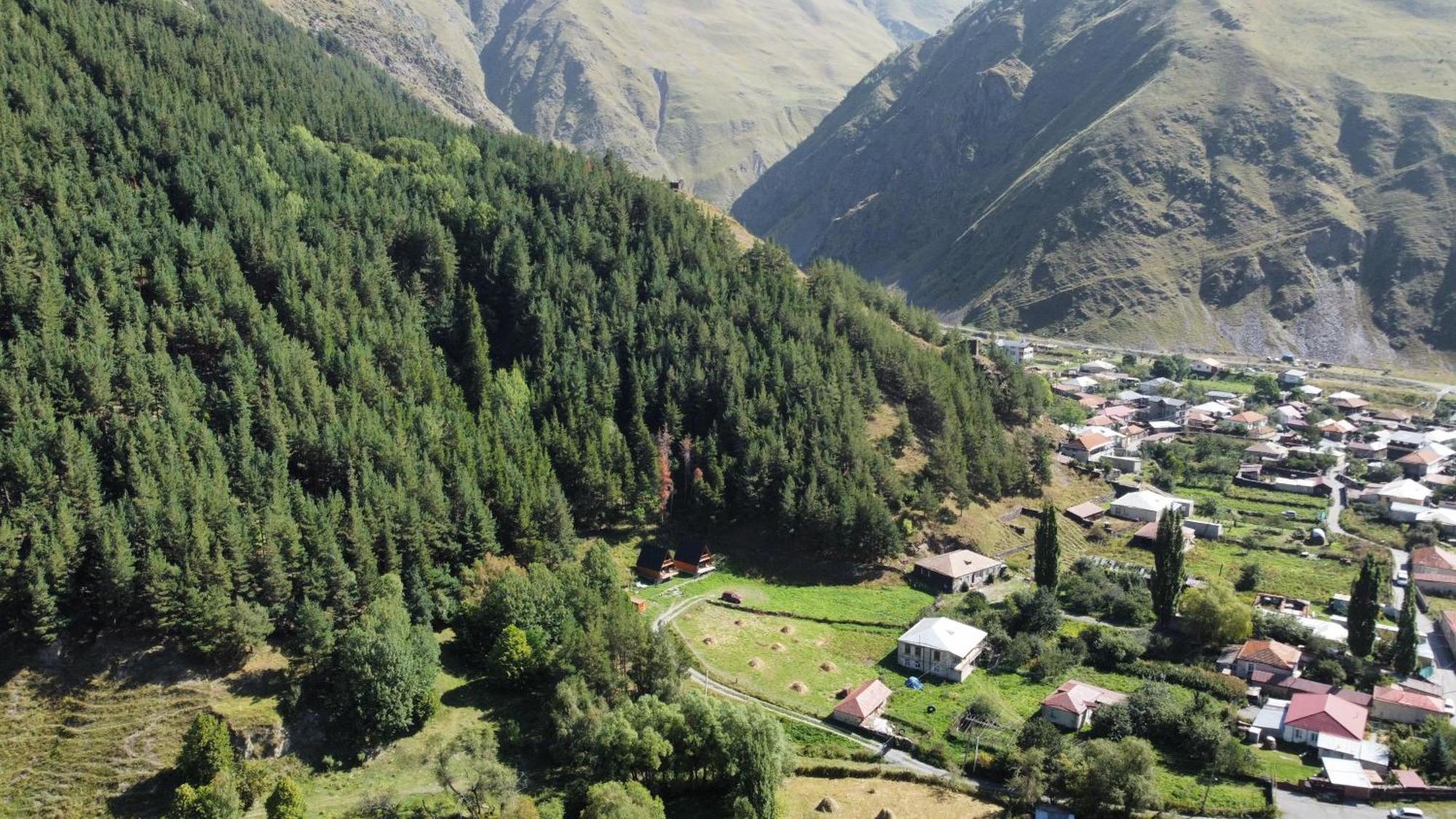 فيلا Sno Woodland المظهر الخارجي الصورة